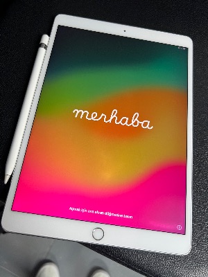 iPad Mini 6 /256GB