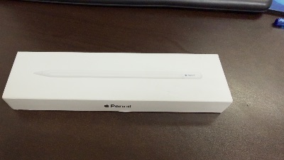 Lápiz Digital de Precisión Apple Pencil Pro